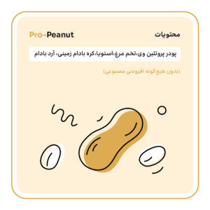 Alternative view of کوکی بادام زمینی پروتئینه